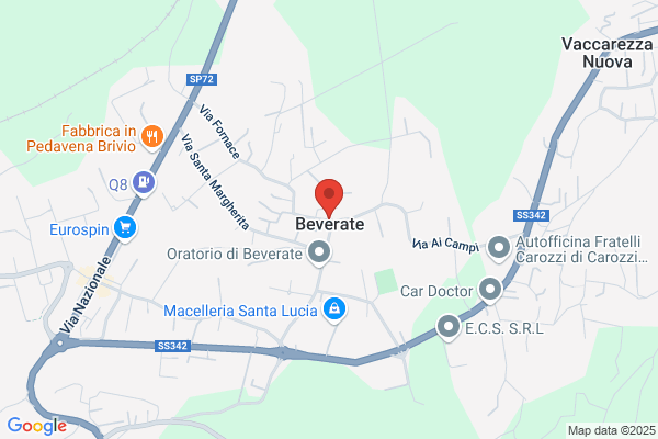 Ravasi vitaliano