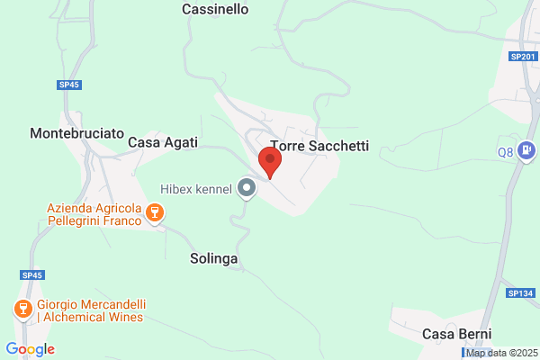 Imbianchino Torregiani Alessandro