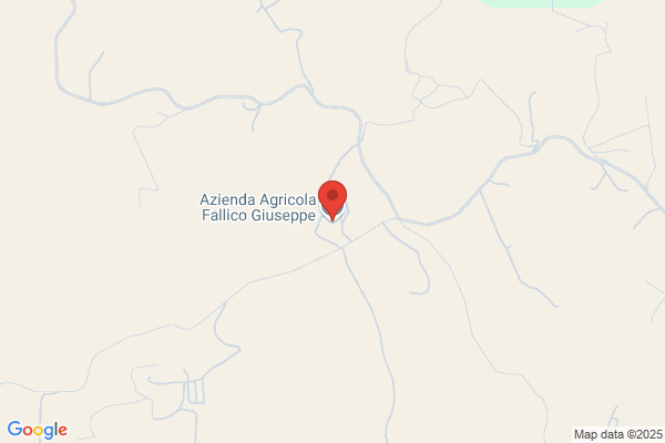 Fallico Rosario (Geom.)