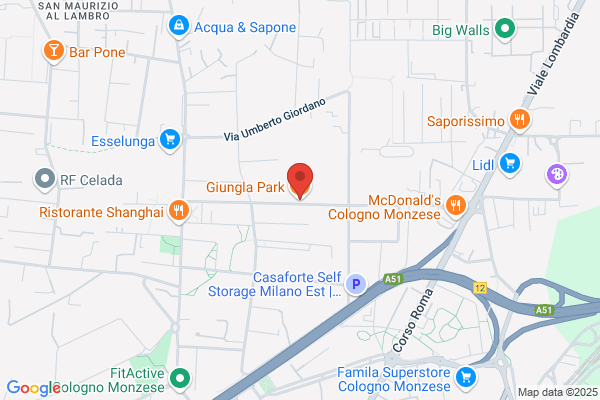 Giungla In Citta