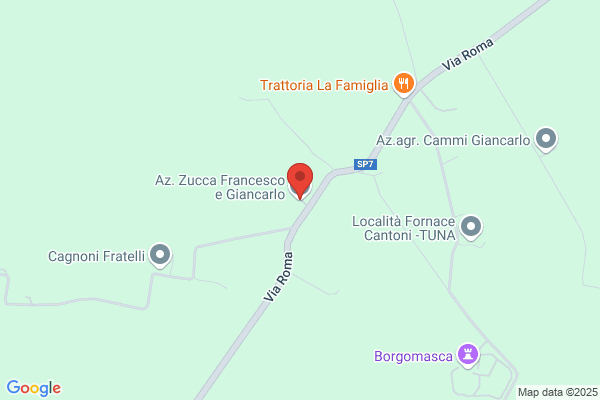 G & Z Sas Di Zucca Tullia e c.