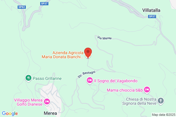 Ferri Maria Donata