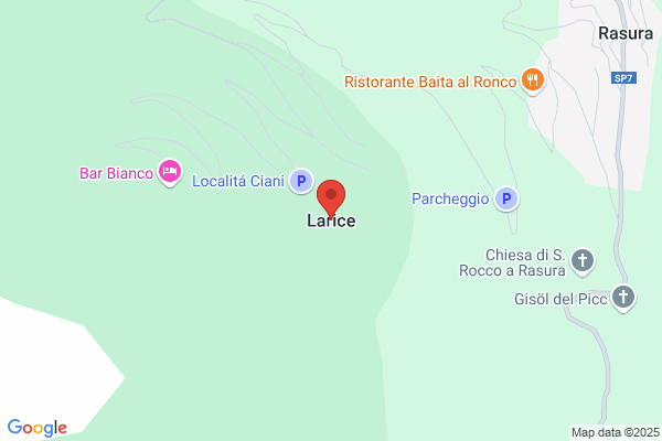 Larice S.R.L.