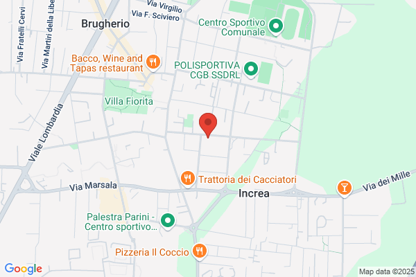 Ferron Cinzia