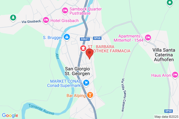Passler gebhard