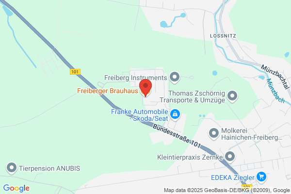 Freiberger (S.A.S.)%freiberger (K.G.)