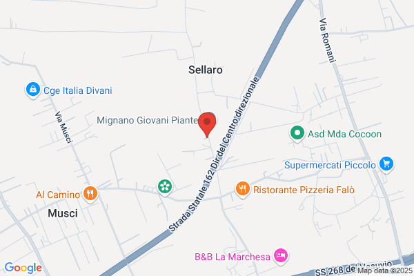 Romano Sas Di Romano Leonilda