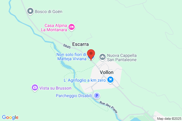 Non Solo Fiori Di Matteja Viviana