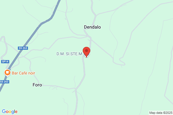 D.M. SI.STE.M.