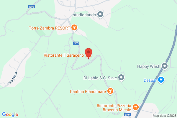 Ristorante Il Saraceno