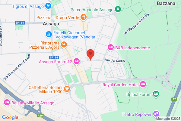BLINDOSERR ASSISTENZA CASSEFORTI 24H