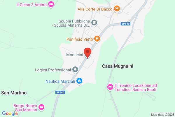 Monticini giancarlo