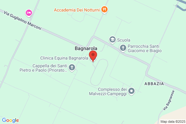 Clinica Equina Bagnarola