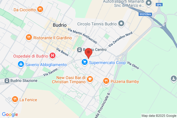 Scuola Elementare Di Budrio
