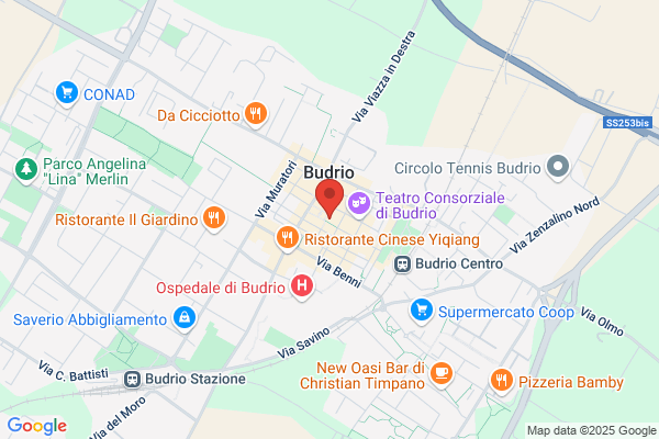 Municipio Di Budrio