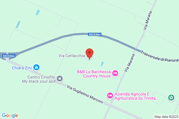 Azienda Cerlacchia Di Cecconi & C. Srl
