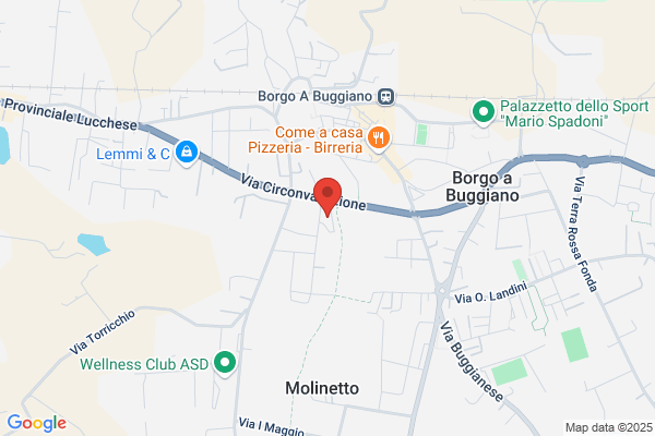 Nuova Autofficina Santa Maria Di Tocilaura E palamidessi l.