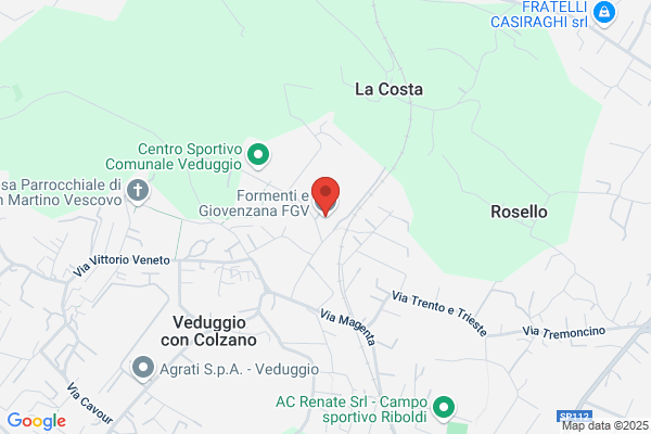 Formenti e Giovenzana FGV