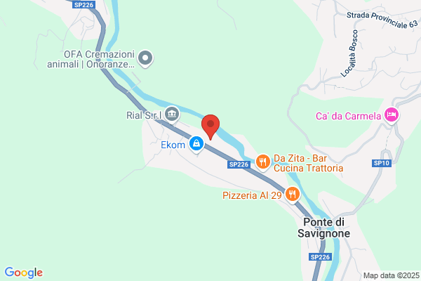 Autoscrivia  di Berzano Eugenio
