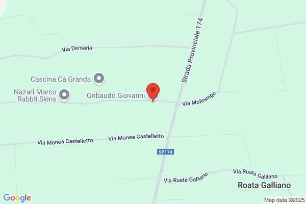 Ghio Giovanni