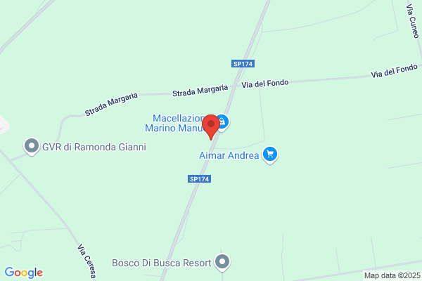 Ferrara Bus