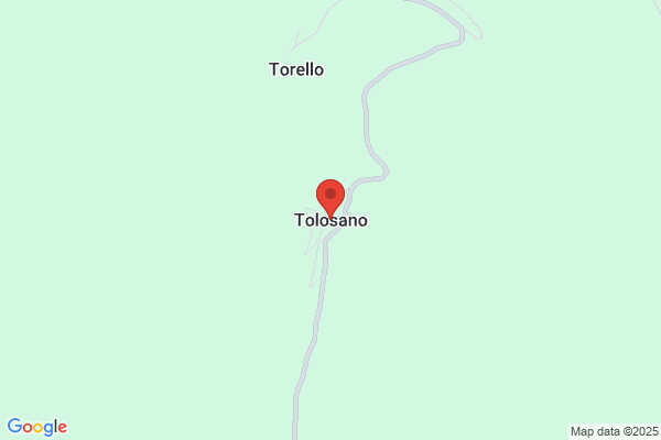 Tolosano giovanni