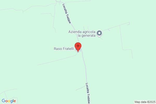 Raso Fratelli