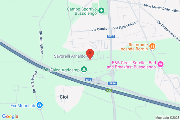 Savorelli arnaldo (Arch.)