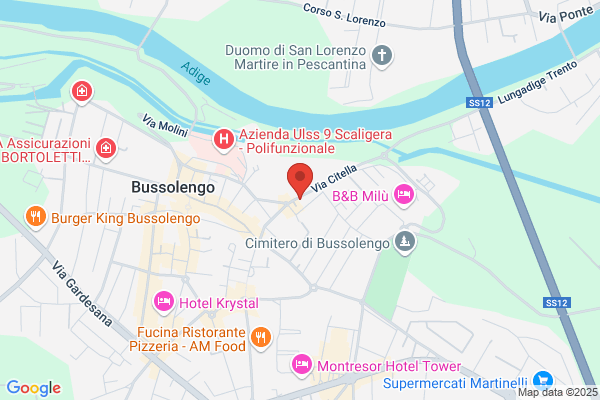 Filippi Assiservice Srl