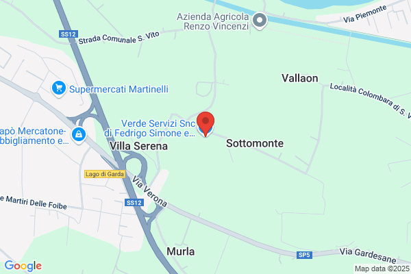 Freoni Elio
