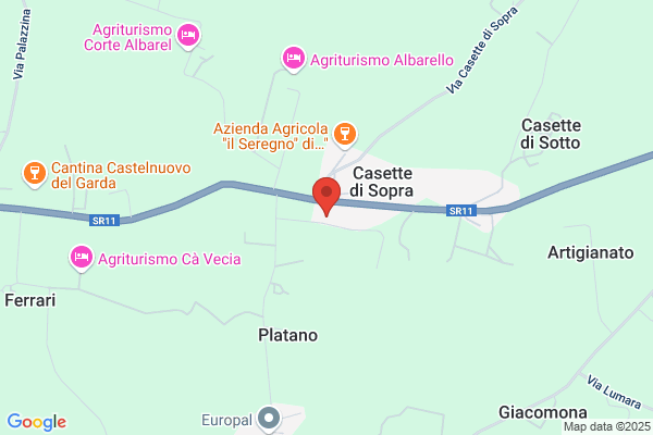 Fontana Ettore