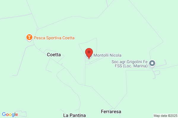 Montolli nicola