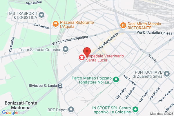 Maccacaro massimo