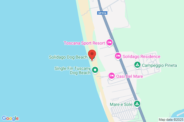 Lido Dog'S