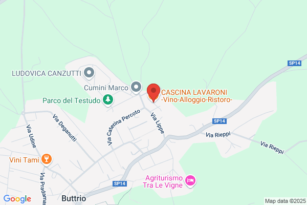 Lavaroni gino