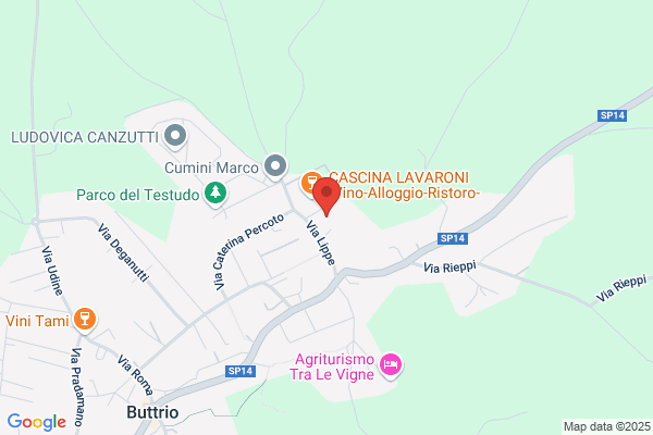 Pontoni flavio