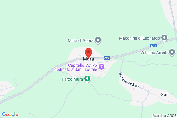 Mura dino