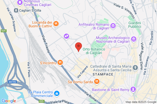 Movimento Dei Focolari
