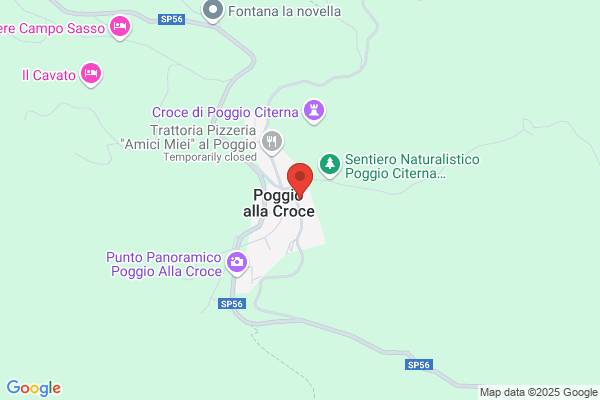 Secci paolo