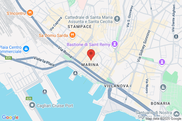 Il Delfino Di Durzu Antonia