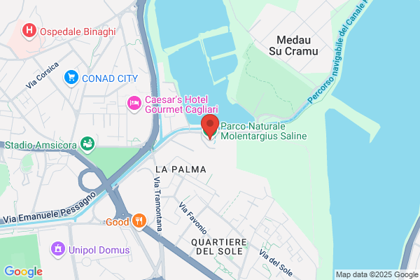 Service Data Di Basciu Vicenza