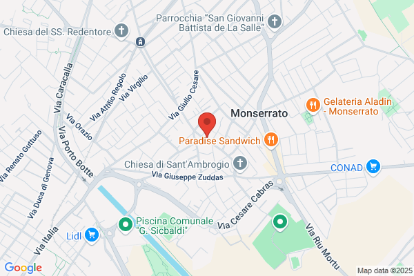 Centro Biomedico Frongia