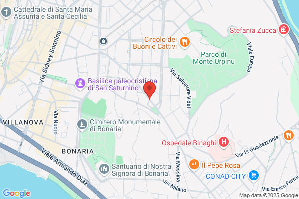 Vip Coiffeur Vigo Sonia