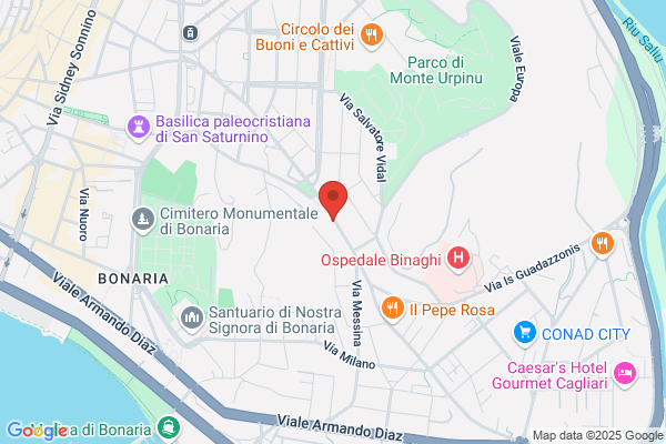 Oggiano paolo
