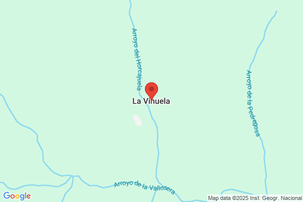 Vihuela