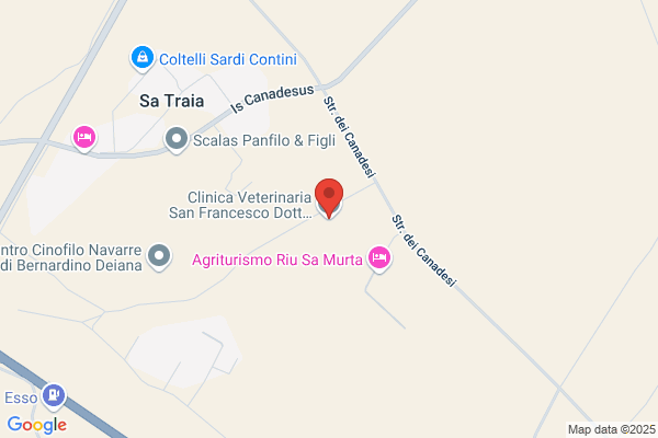 Clinica Veterinaria San Francesco Dott. Marco Podda