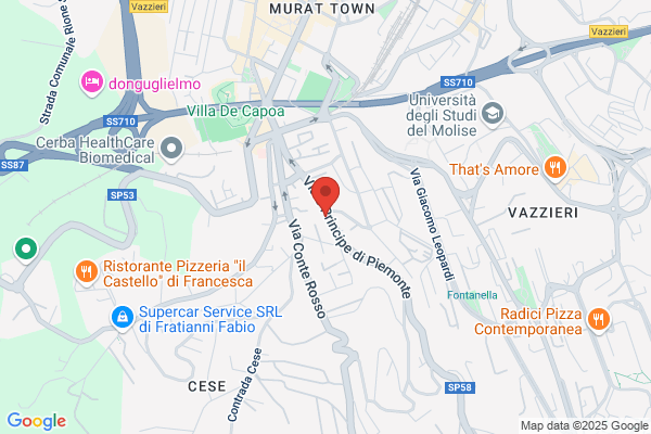 Italscavi S.P.A.