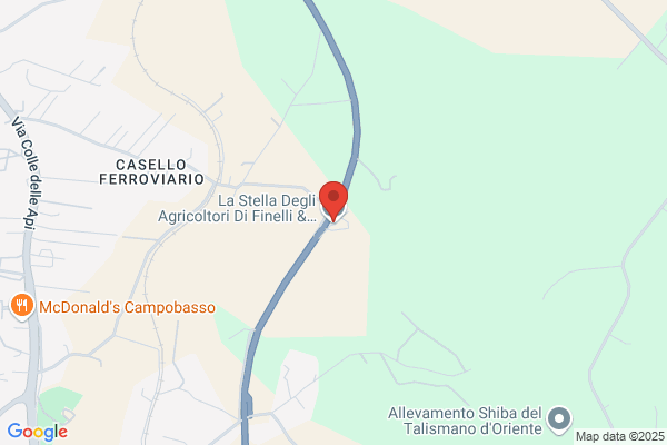 La Stella Degli Agricoltori Di Finelli & rapuano S.R.L.