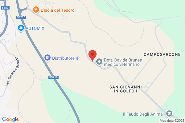 Molise Trasporti S.R.L.