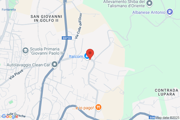 Neon Molise Arredamenti Sas